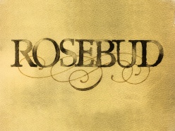 Lettering Rosebud produzido por Luciano Cardinali.